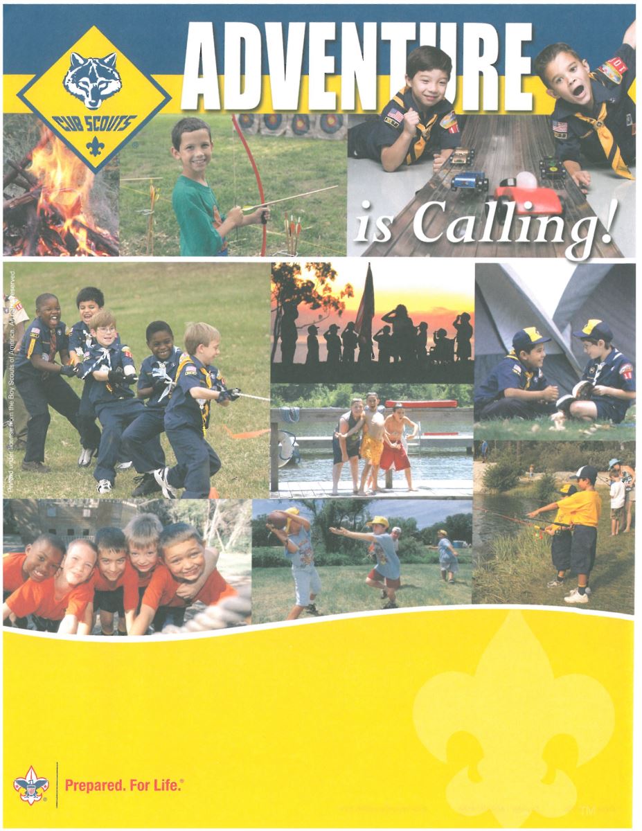 Flyer Request by District